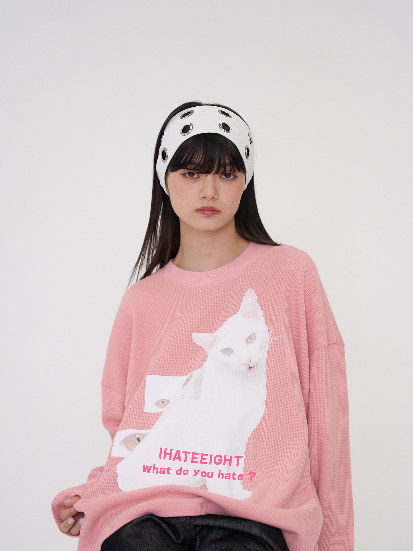 nyan nyan hater