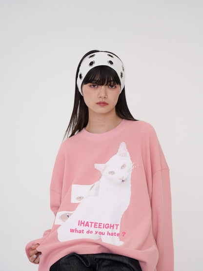 nyan nyan hater