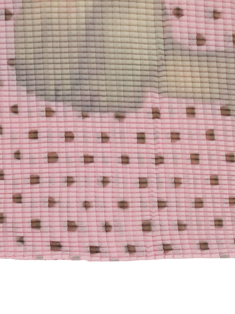 夢の中で会ったあの子とそのお友達の小さいアレ