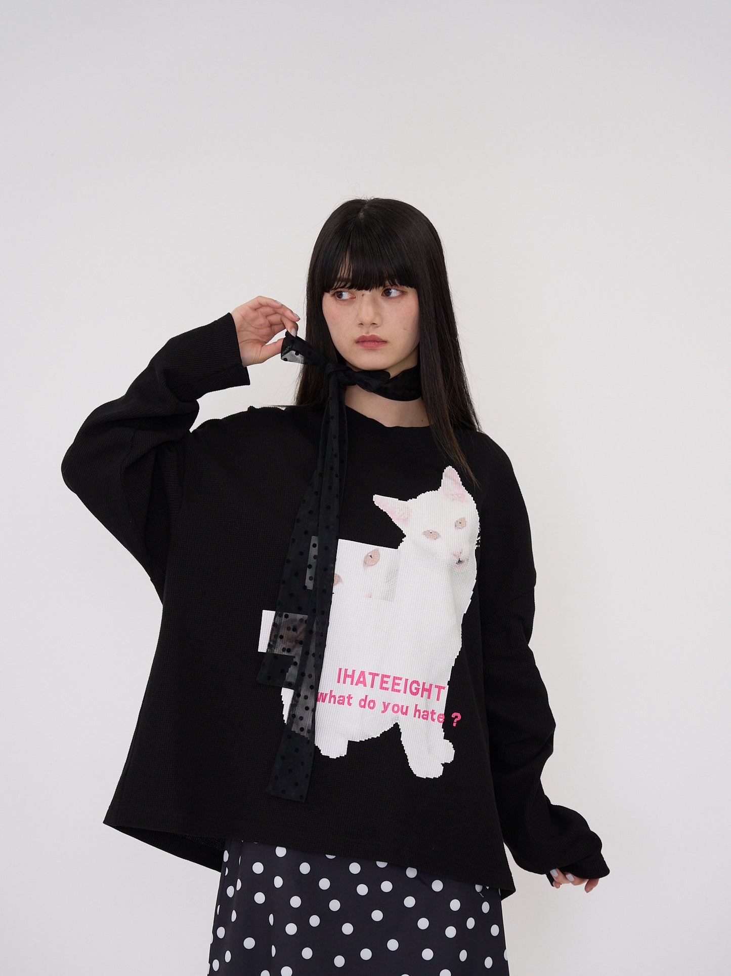 nyan nyan hater