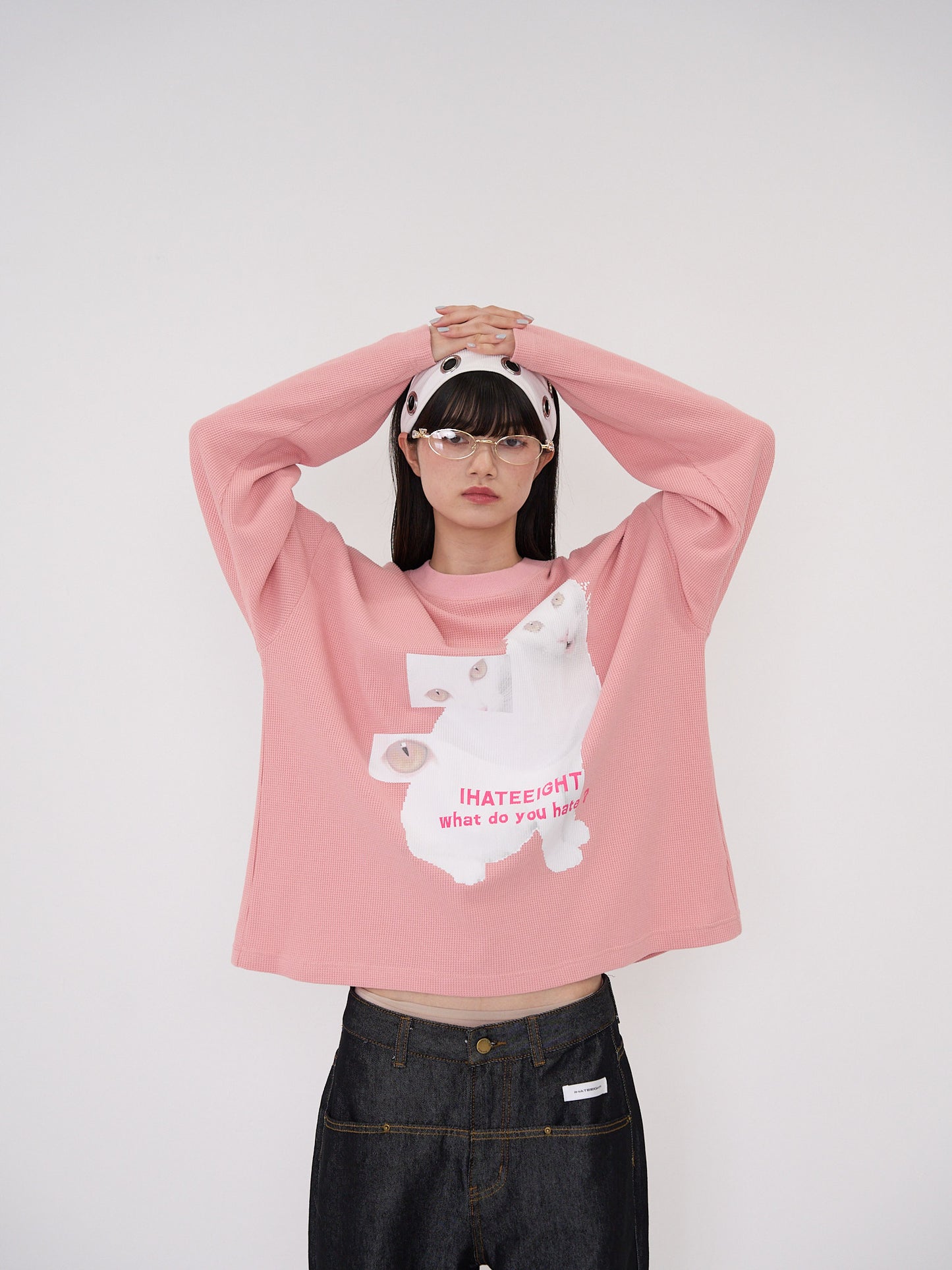 nyan nyan hater