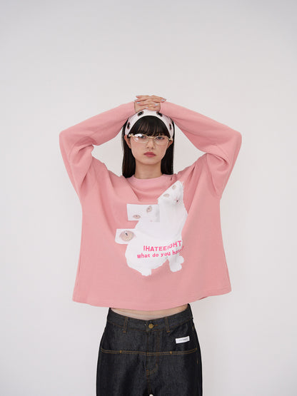 nyan nyan hater