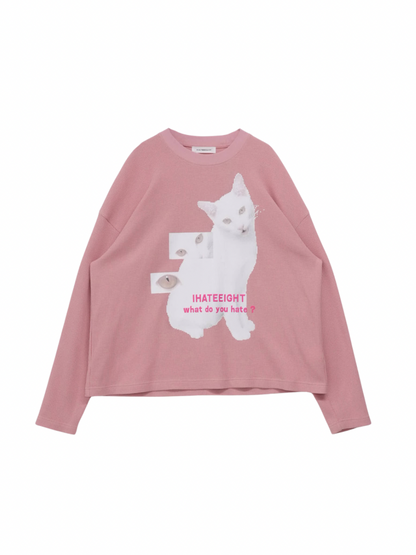 nyan nyan hater
