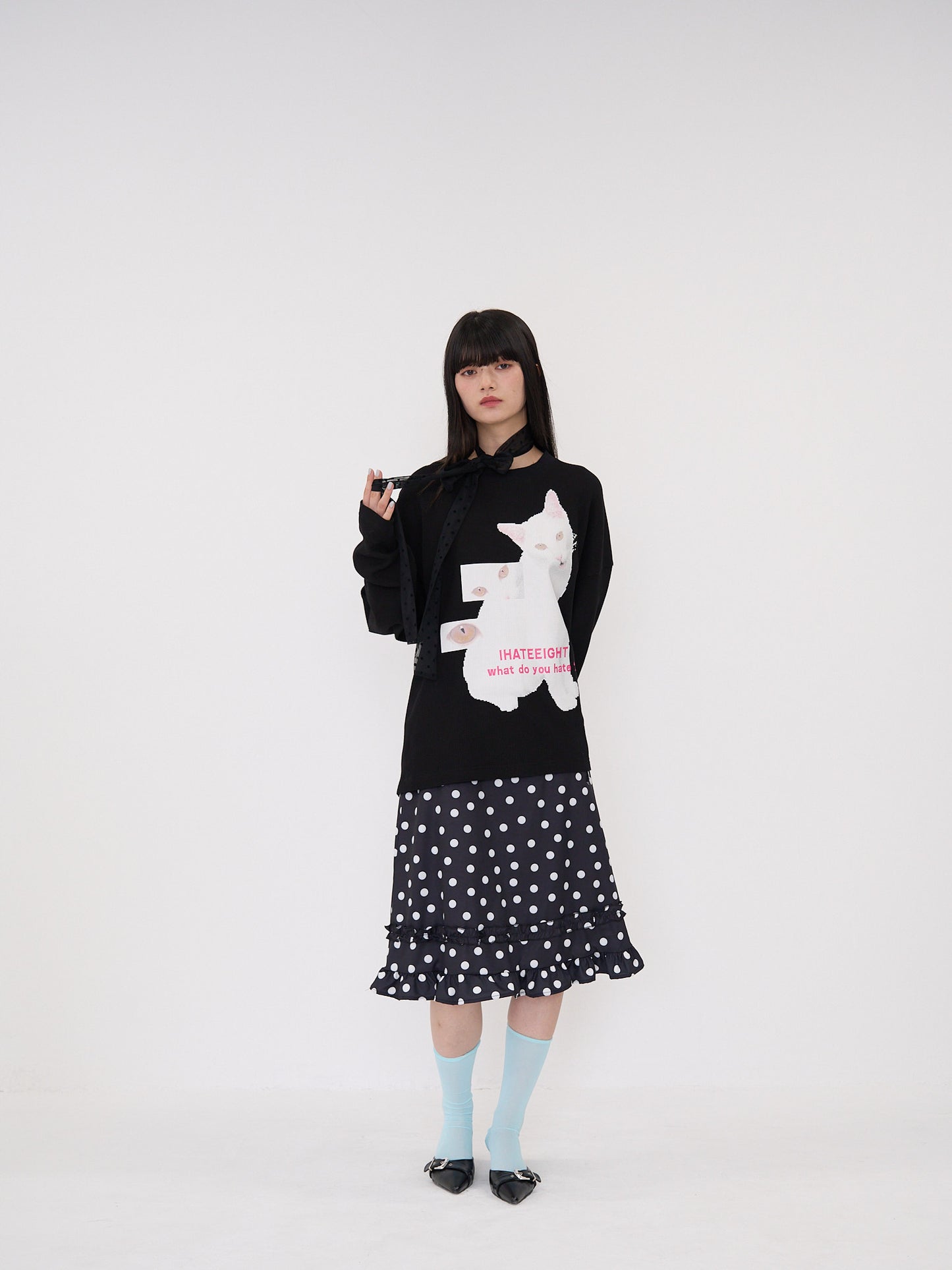 nyan nyan hater
