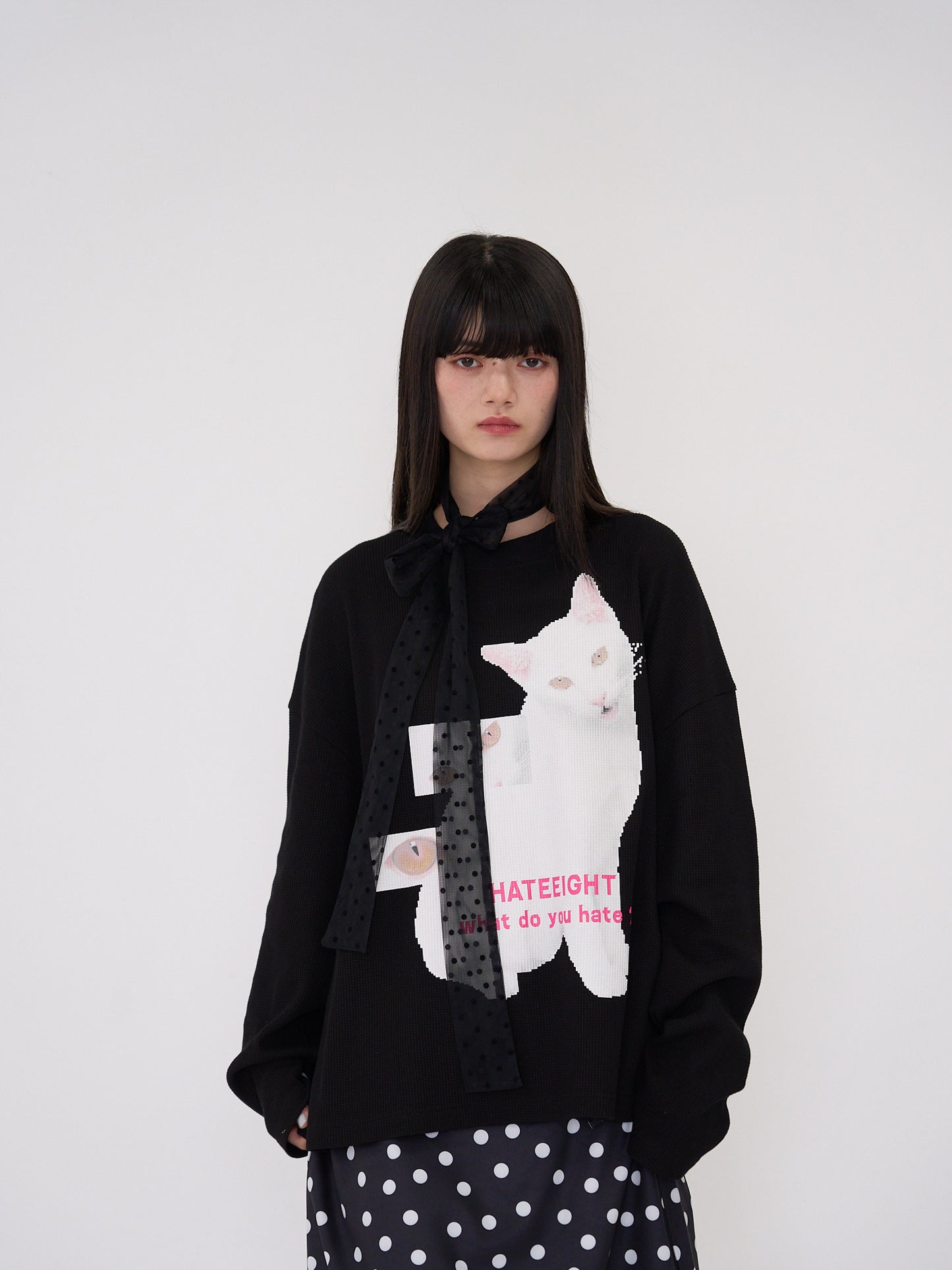 nyan nyan hater