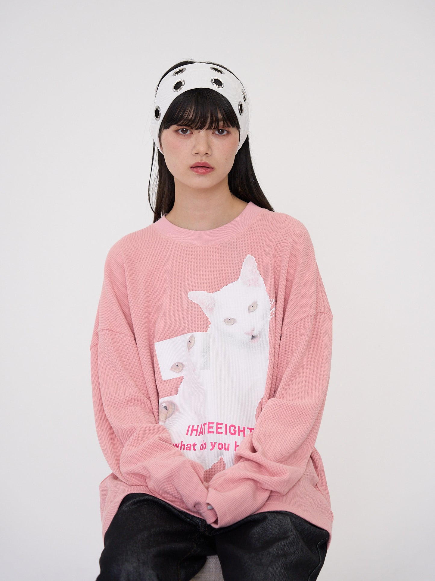nyan nyan hater