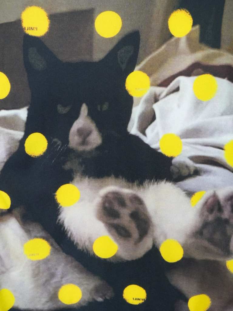 レム睡眠の中で飼っていた猫