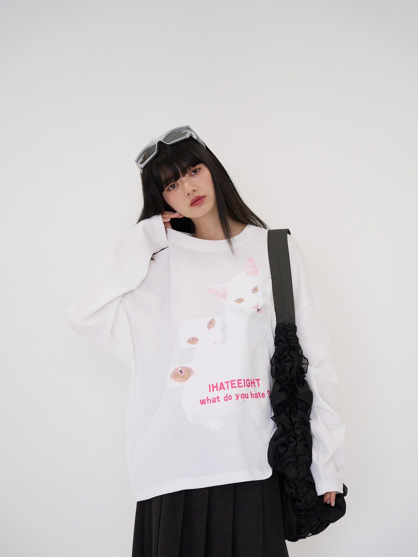 nyan nyan hater