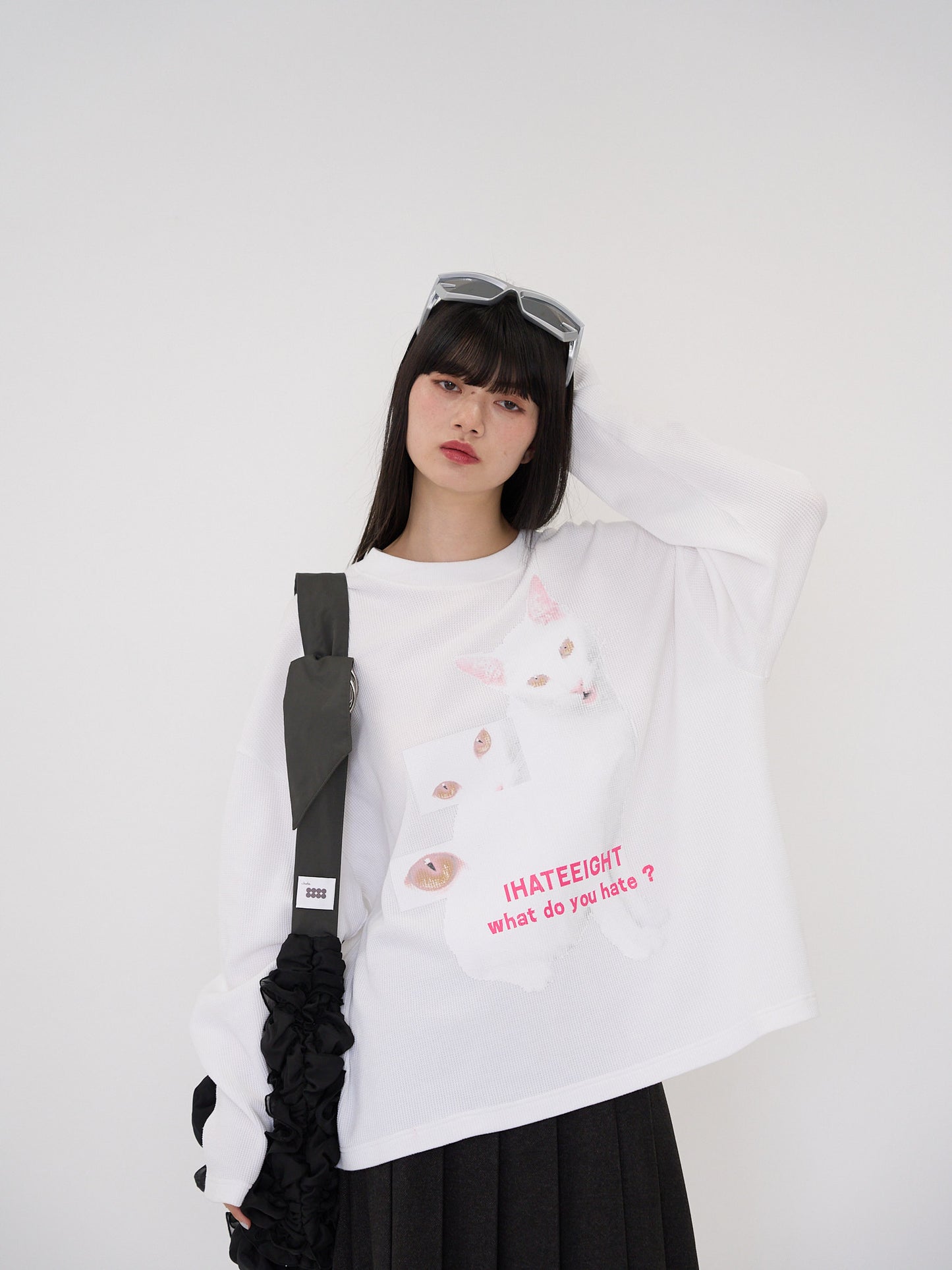 nyan nyan hater