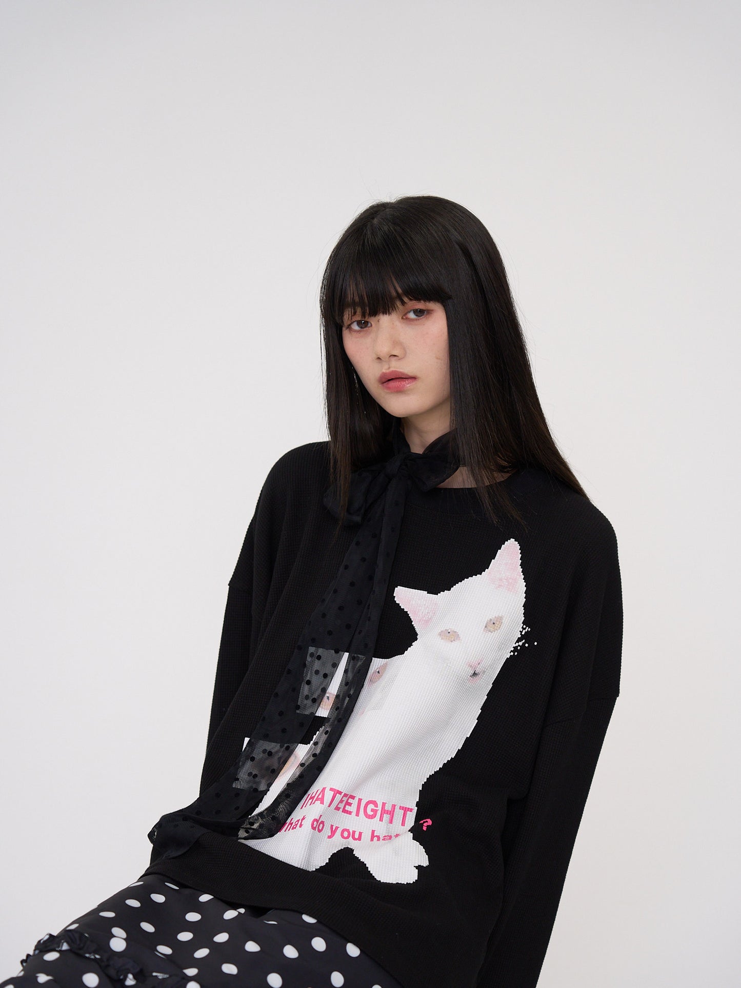 nyan nyan hater
