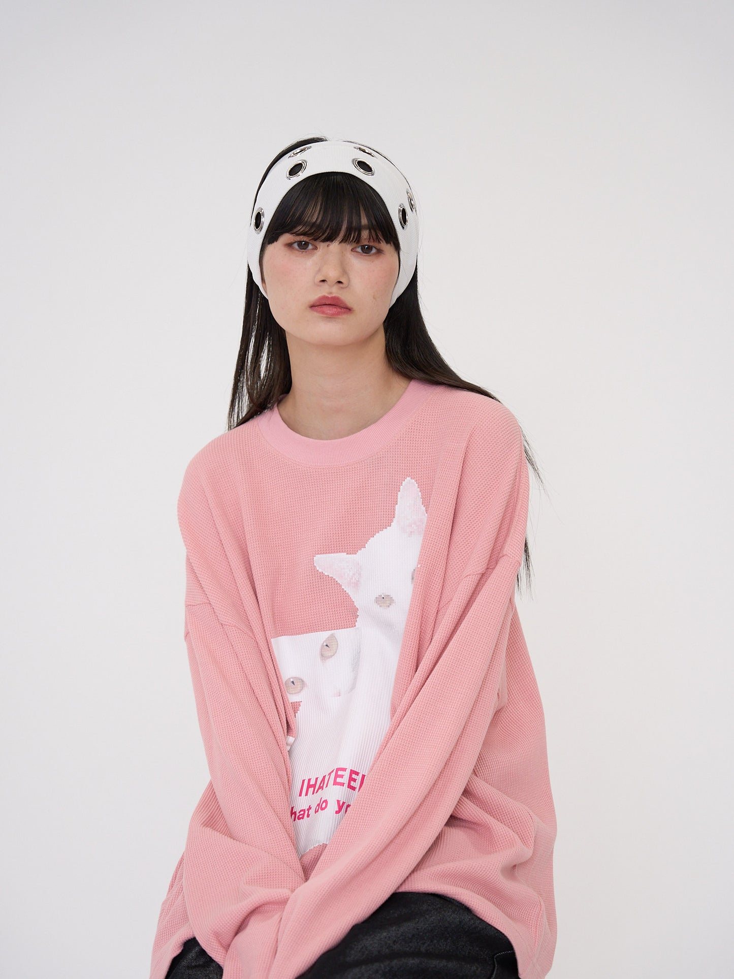 nyan nyan hater