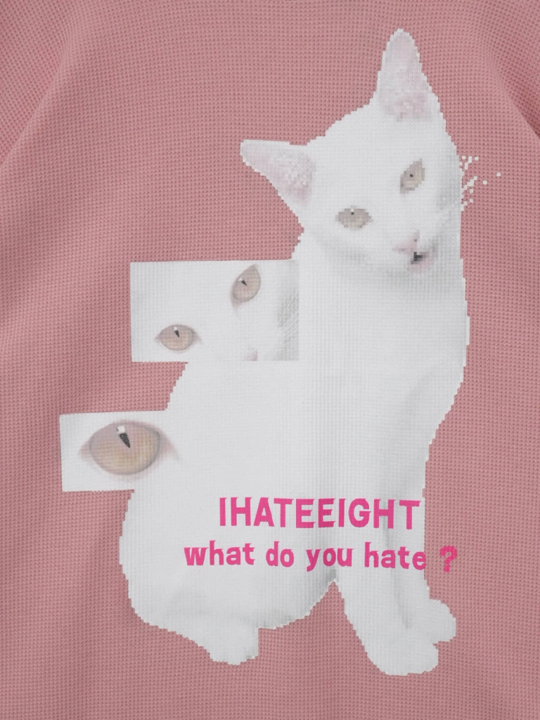 nyan nyan hater