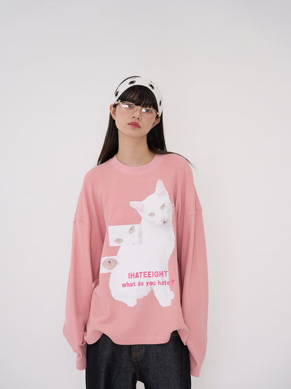 nyan nyan hater